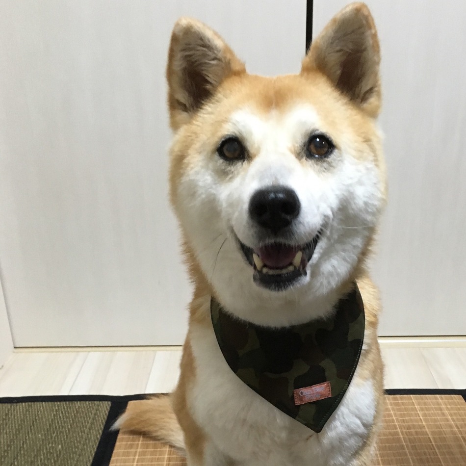 らんのカバー写真