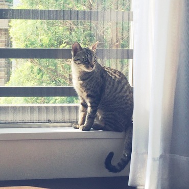 いづうの写真