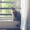 の写真