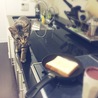 の写真