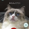 ポケモン ゲットだぜ‼︎