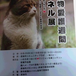 動物愛護週間パネル展