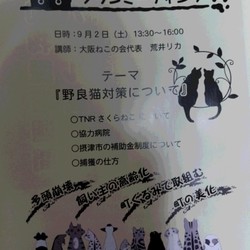 タウンミーテング