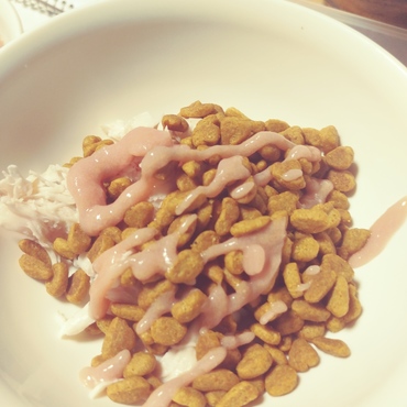 猫のまんま。つまりご飯。本日の献立は笹身とピュリナワンのサーモン味　シーバDuoのとろーり鰹フレーバーです。2匹共にペロリとたいらげました