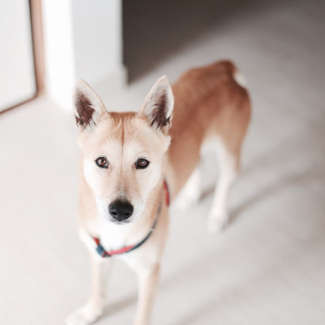 Angelina1234のカバー写真