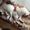 お尻合い！