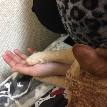 トイレに行きたいけど動けない( ;∀;)