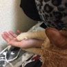 トイレに行きたいけど動けない( ;∀;)