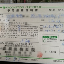 三種混合やってきた2