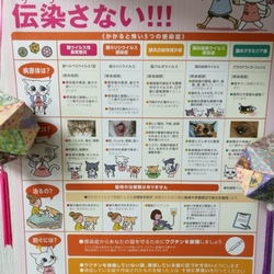 ワクチンの必要性