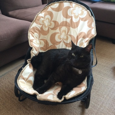 俺のベッド！