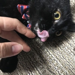 トライアル中レオンくん♡