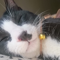 トニー