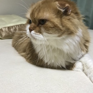 幸せにしてください！