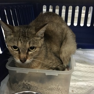 里親様が決まりました♡有難うございました！