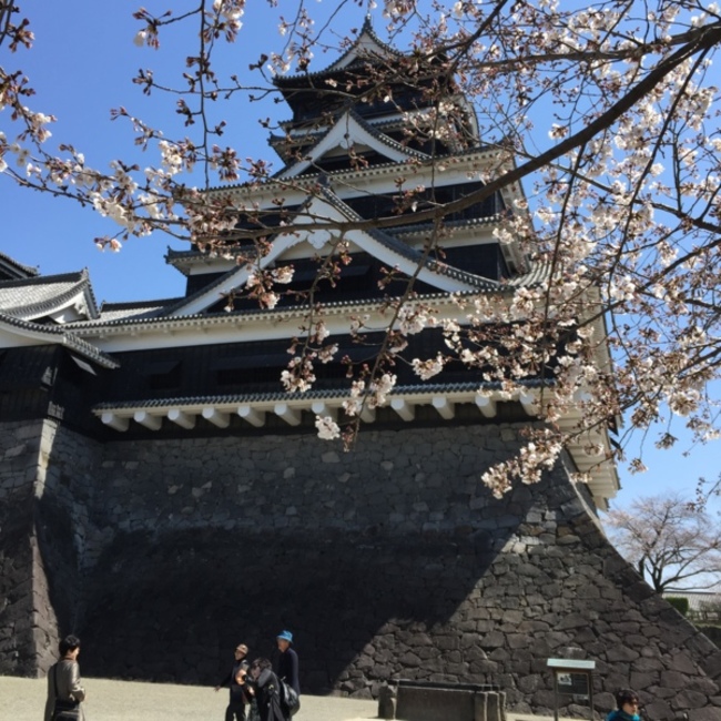 クシャナのカバー写真