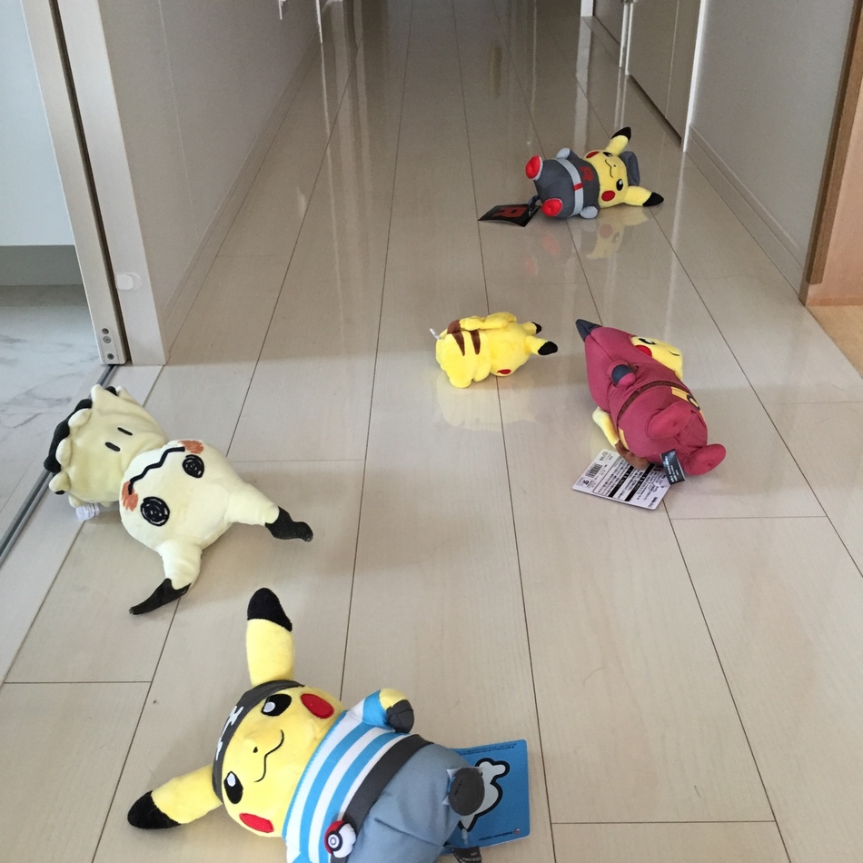 クーのカバー写真