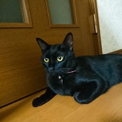 「お誕生日(*´ω｀*)」サムネイル1