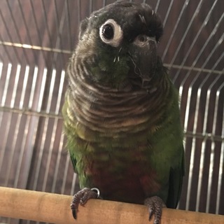 ご応募ありがとうございました。