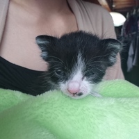 ※まだきまっていません!※