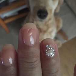 やってくれました（；＿；）