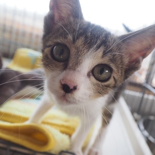 「面談予定」おめめキラキラ「みーちゃん」♡