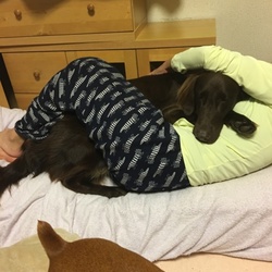 「赤ちゃんがえり」サムネイル2