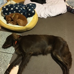 「赤ちゃんがえり」サムネイル3