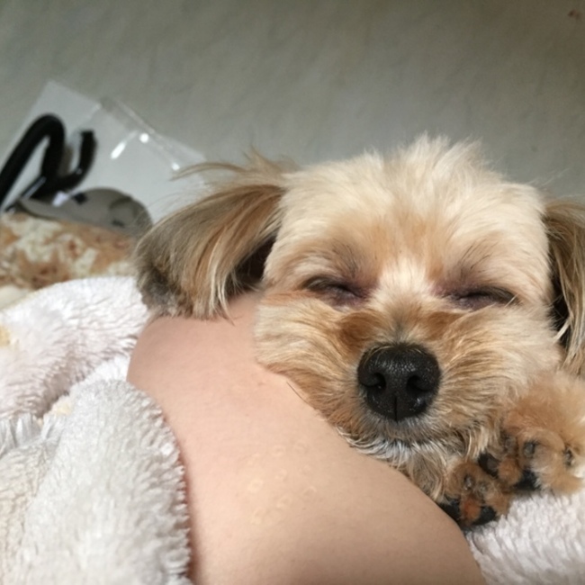 絢香のカバー写真