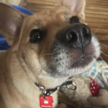 そのお菓子、私にもください