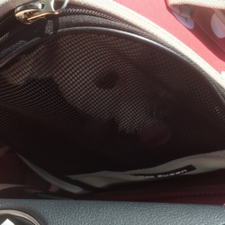 僧帽弁閉鎖不全症  その2