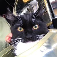 リンカーン長島