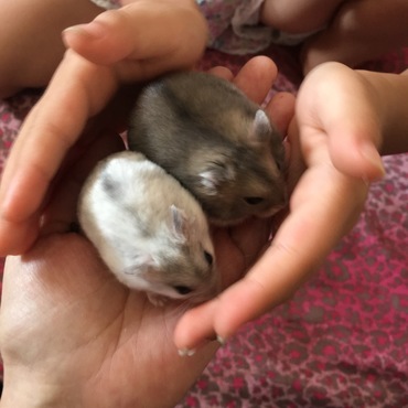 うみくんとも仲良くしてくれます