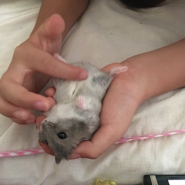 お腹ナデられてます