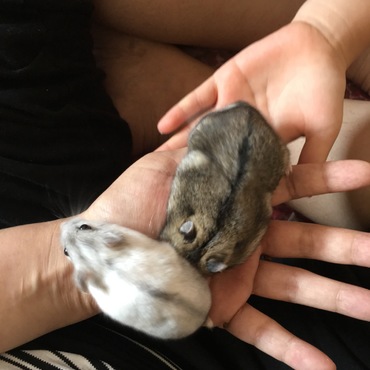 クンクンし過ぎな件について…