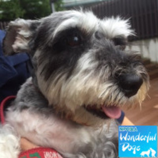 「真夏（まなつ）」♀