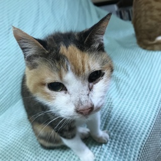 まだまだ元気！