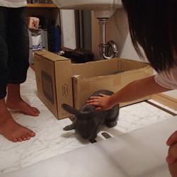「2日目」サムネイル2