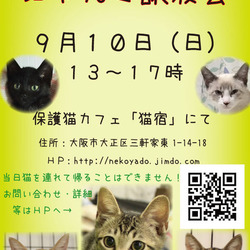にゃんこ譲渡会