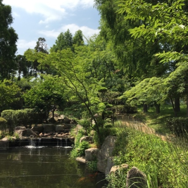 グリーンハウスのカバー写真