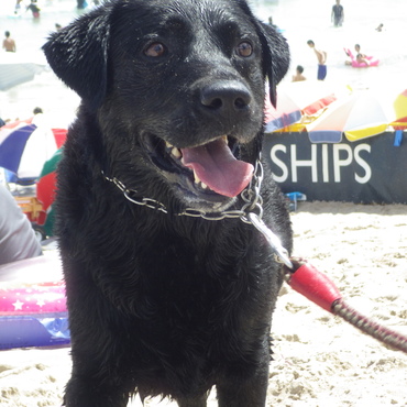 白浜で海水浴　！