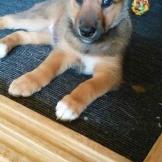 Mix　(仮名)ゆに