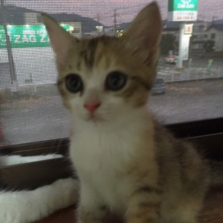 とっても元気な可愛い子