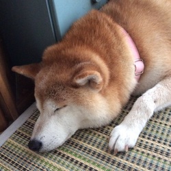 ふ～～っ(゜゜;)(。。;)お悩み相談～～