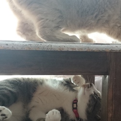 「夏休み終了！」サムネイル3