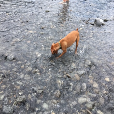 颯（はやて)の写真