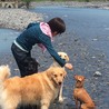 友達はみんな大型犬