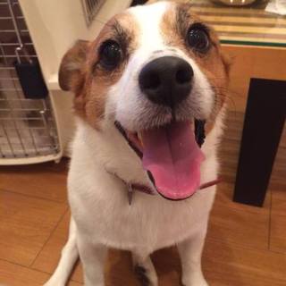 かずま（兆麻）くん