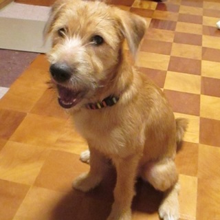 生後4ヶ月で11キロ、表情豊かなフクくん！