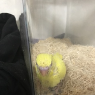 素敵な里親様に決まりました。